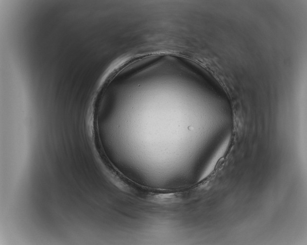 X0000112360054200908271301