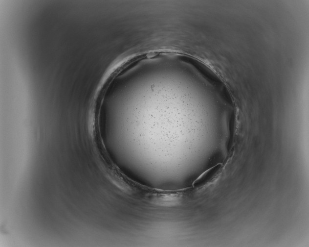 X0000112360056200908271301