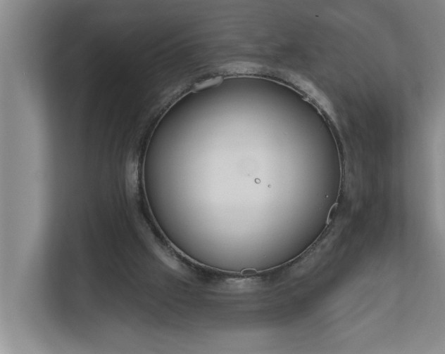 X0000112360057200908271301