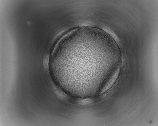 X0000112360058200908271301