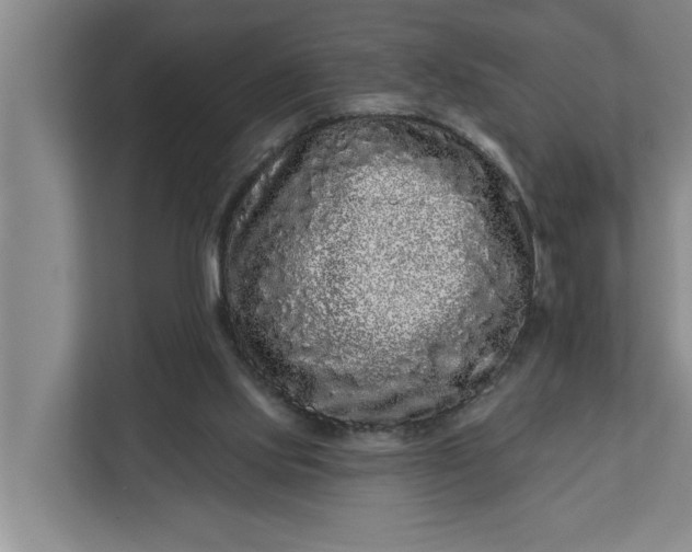 X0000112360061200908271301