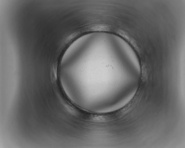 X0000112360062200908271301