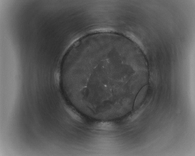 X0000112360063200908271301