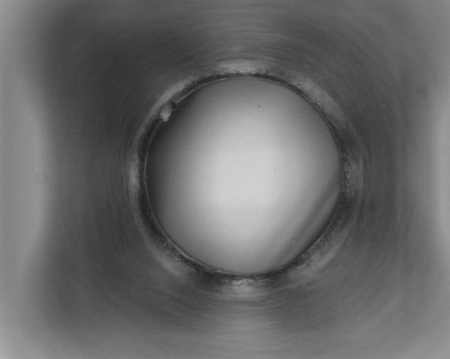 X0000112360064200908271301