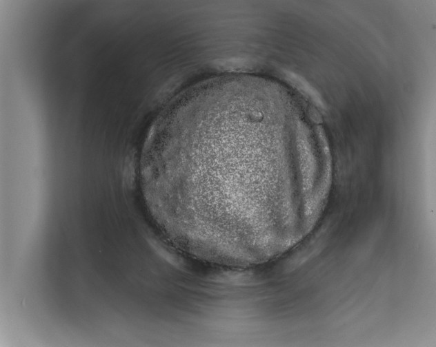 X0000112360065200908271301