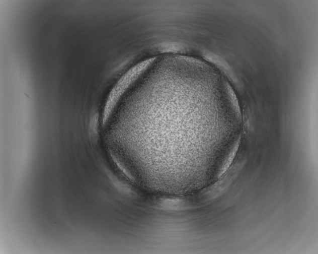 X0000112360066200908271301