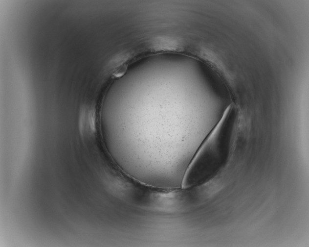 X0000112360068200908271301