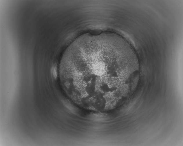 X0000112360069200908271301