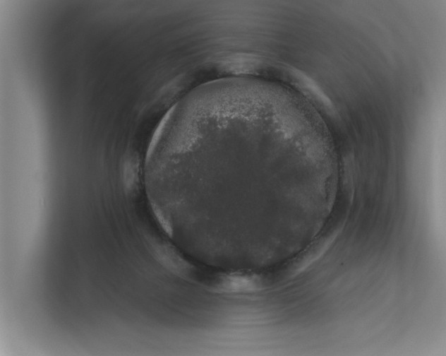 X0000112360073200908271302