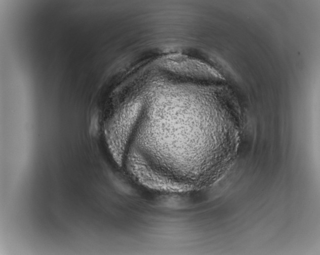 X0000112360074200908271302