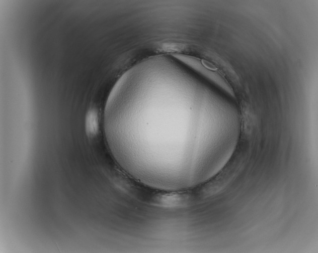 X0000112360075200908271302