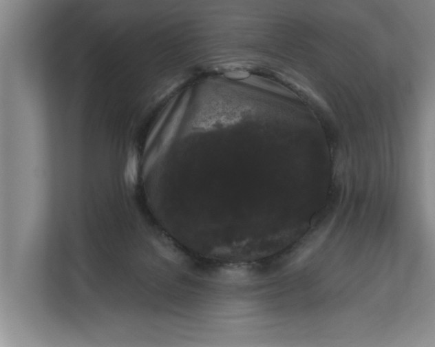 X0000112360076200908271302