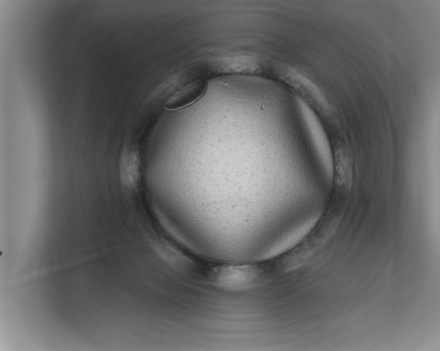 X0000112360077200908271302