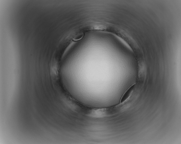 X0000112360078200908271302