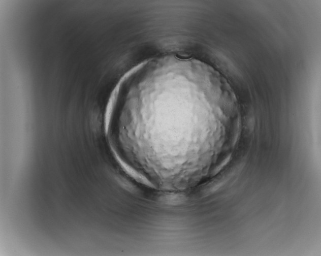 X0000112360081200908271302