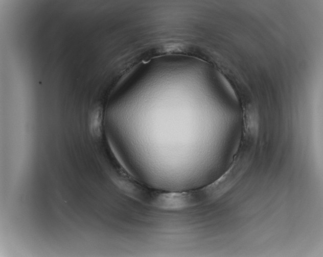 X0000112360082200908271302