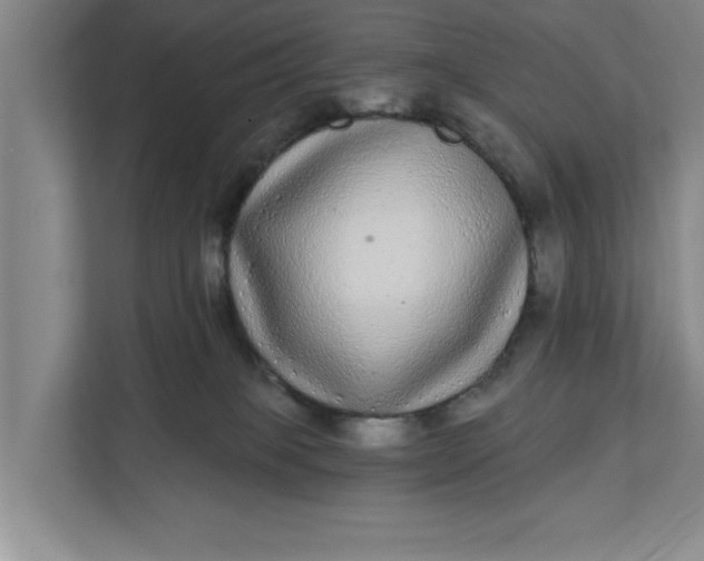 X0000112360085200908271302