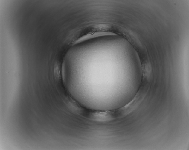 X0000112360086200908271302