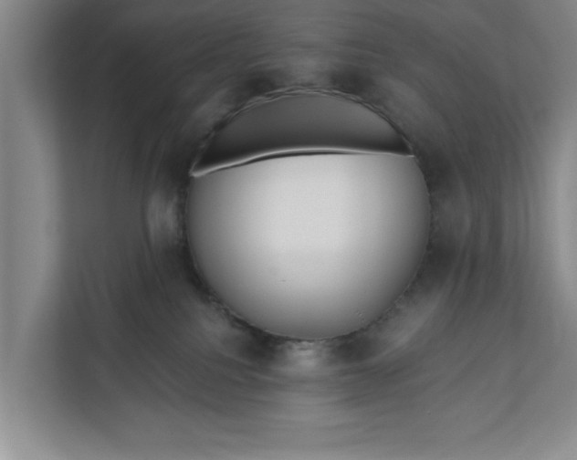 X0000112360088200908271302