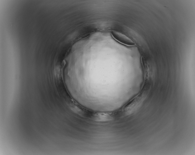 X0000112360093200908271302