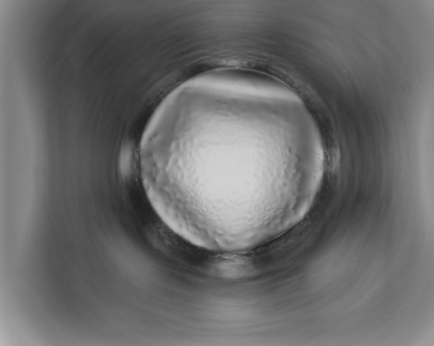 X0000112360095200908271302