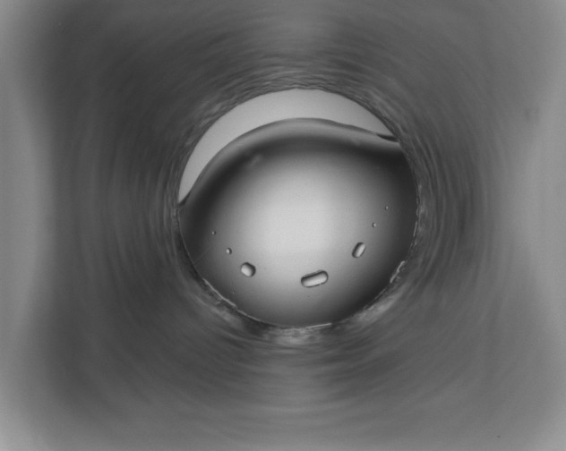 X0000112360096200908271302