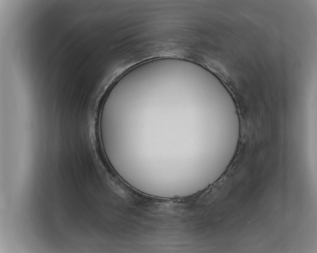 X0000112360098200908271301