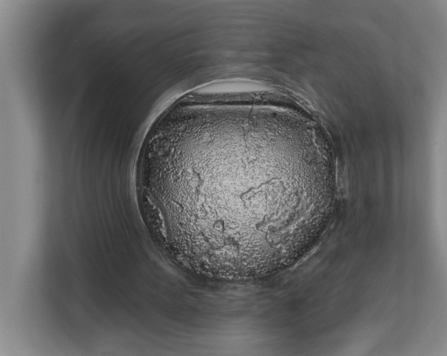 X0000112360099200908271301