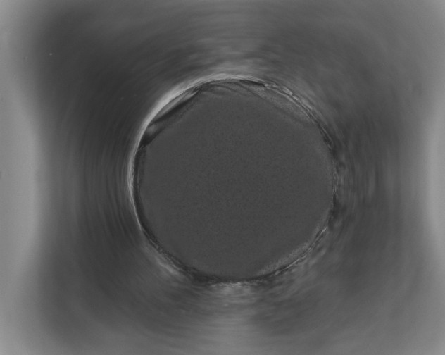 X0000112360100200908271301