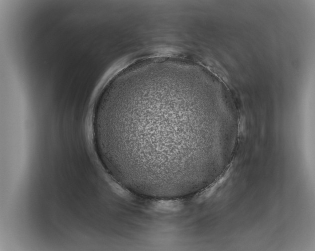 X0000112360101200908271301