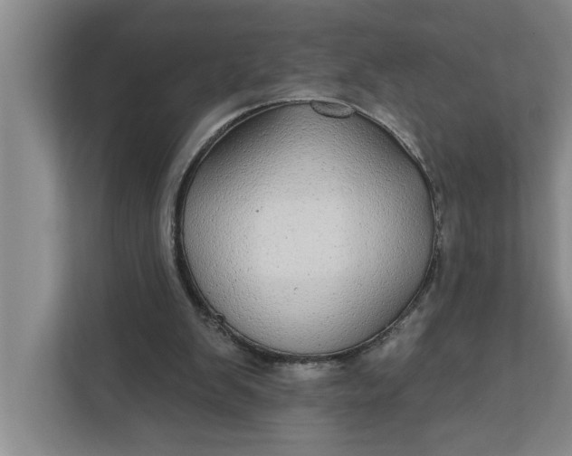 X0000112360103200908271301