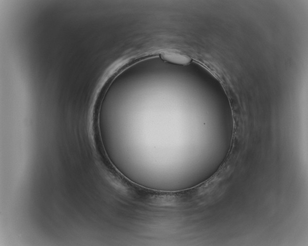 X0000112360104200908271301