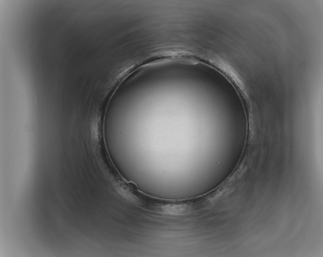 X0000112360105200908271301