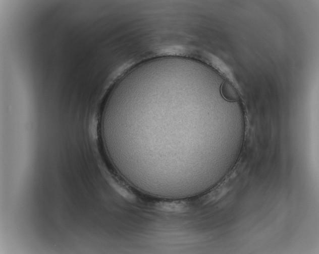 X0000112360106200908271301