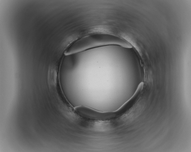 X0000112360109200908271301