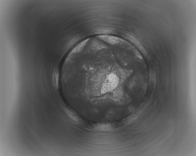 X0000112360110200908271301