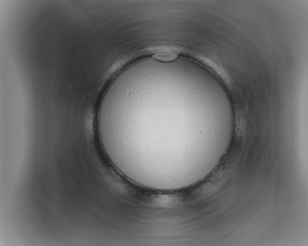 X0000112360111200908271301