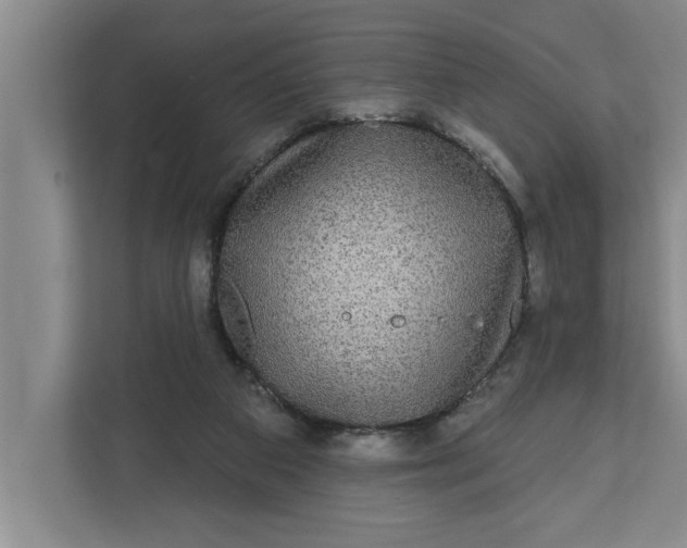 X0000112360113200908271301