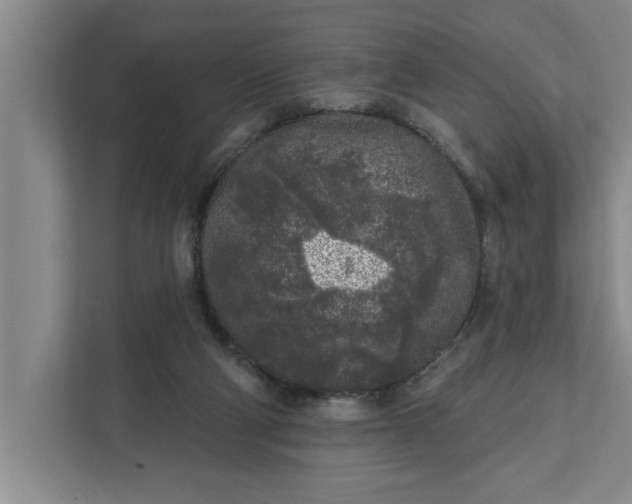 X0000112360114200908271301