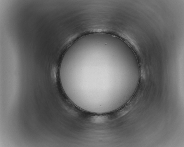 X0000112360115200908271301