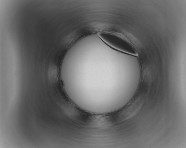 X0000112360121200908271301