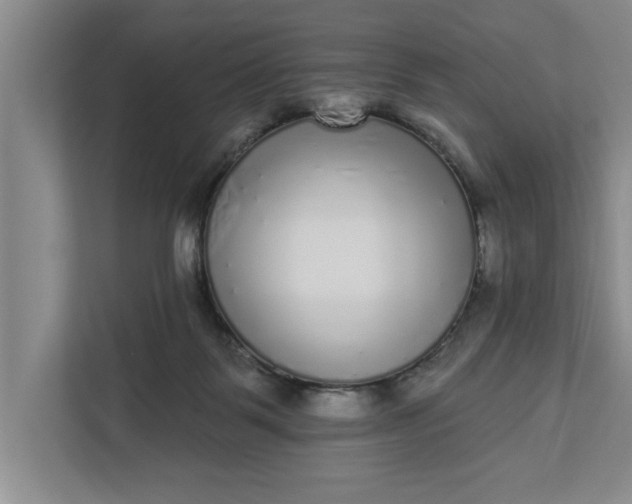 X0000112360123200908271301