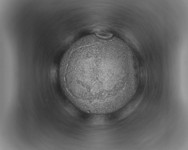 X0000112360127200908271301