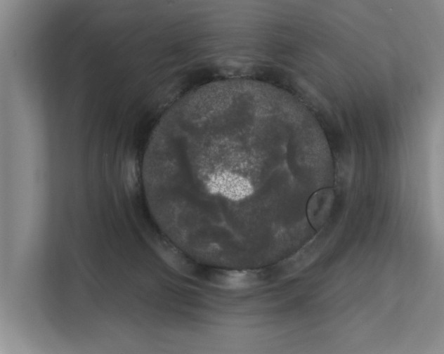 X0000112360130200908271301