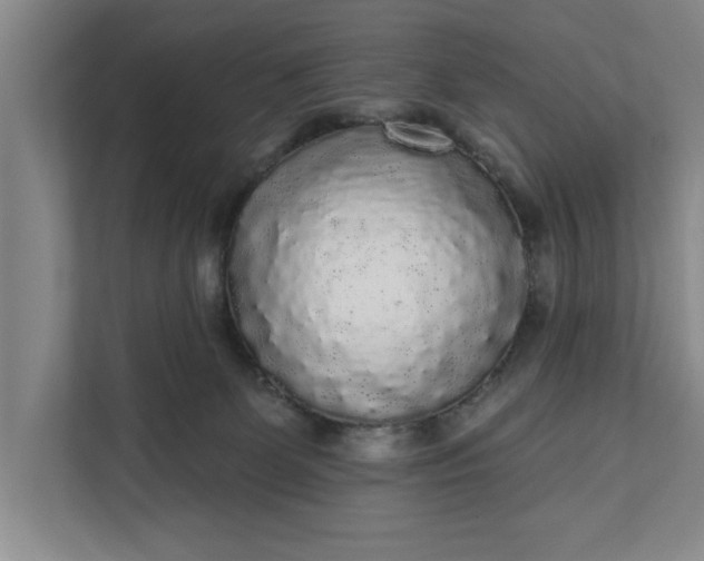 X0000112360131200908271301