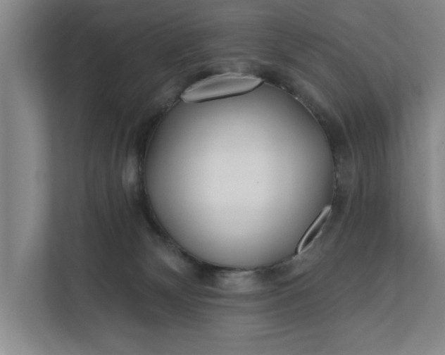 X0000112360132200908271301