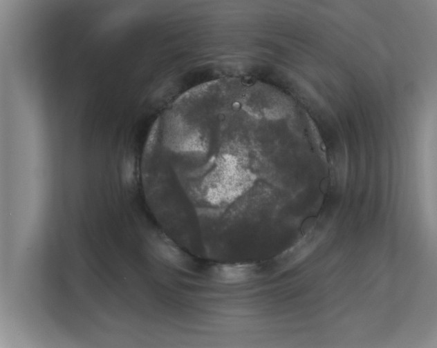 X0000112360134200908271301