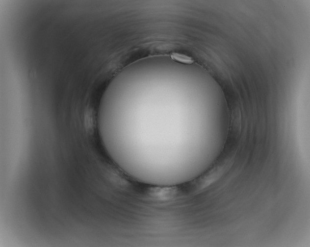 X0000112360135200908271301