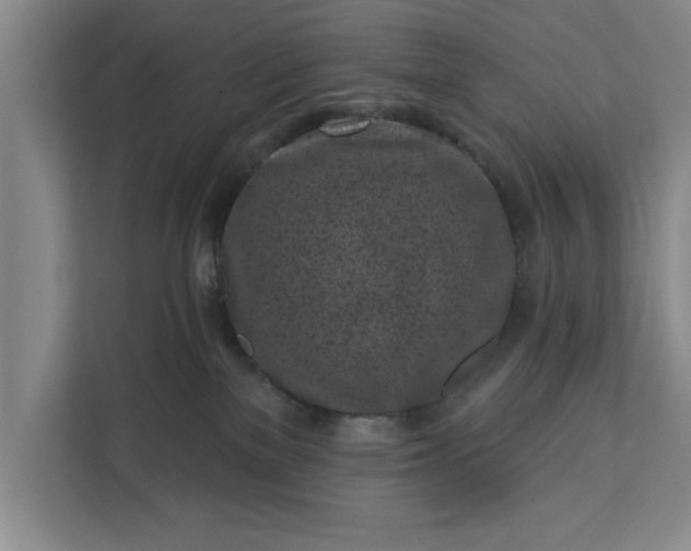 X0000112360137200908271301