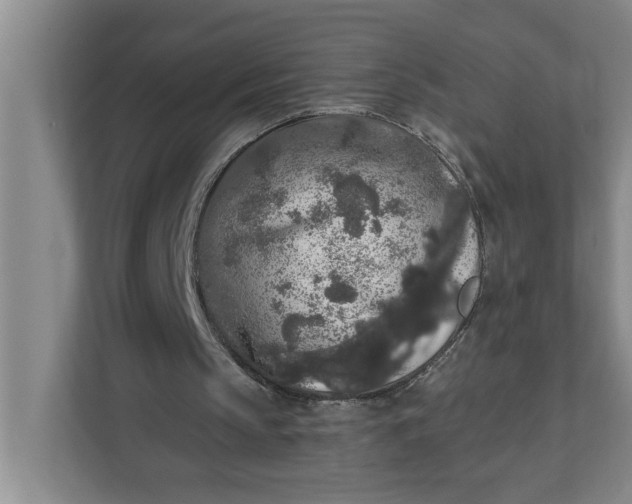 X0000112360145200908271300